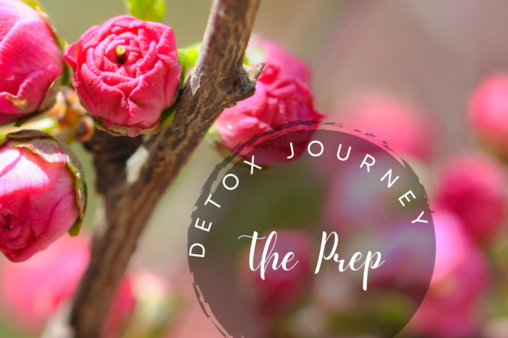 Detox Journey the Prep.